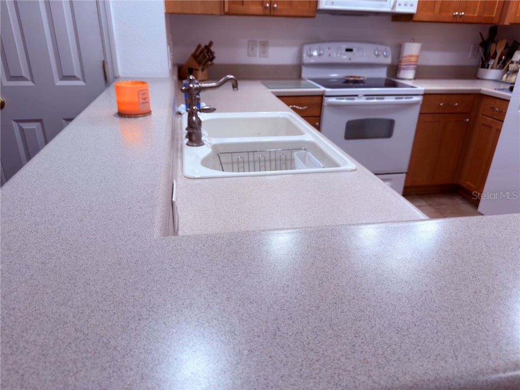 13879 Golden Russet Drive Winter Garden FL 34787 O6355893 image39