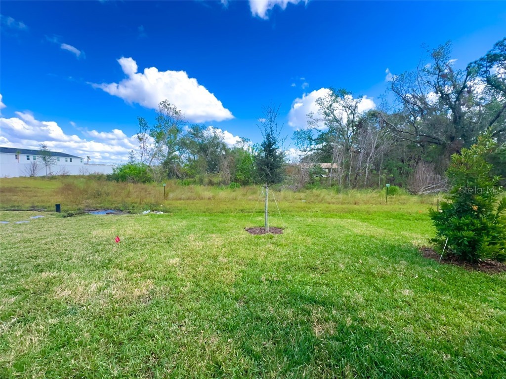 13879 Lilac Sky Terrace Bradenton FL 34211 A4635422 image35