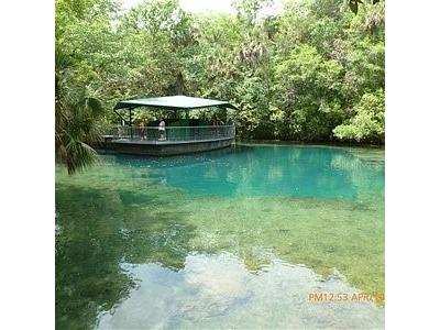 13879 SW 101st Street Dunnellon FL 34432 OM710228 image44