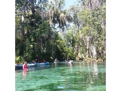 13879 SW 101st Street Dunnellon FL 34432 OM710228 image45