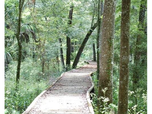 13879 SW 101st Street Dunnellon FL 34432 OM710228 image46