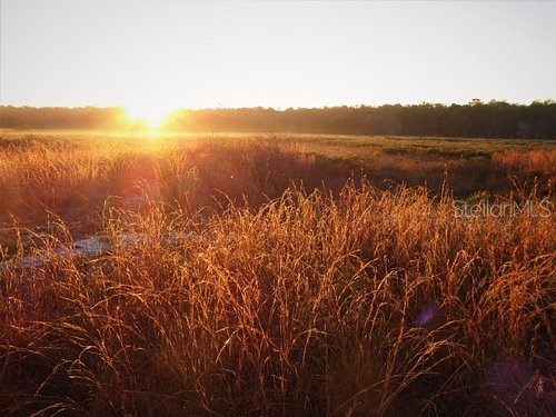 13879 SW 101st Street Dunnellon FL 34432 OM710228 image48