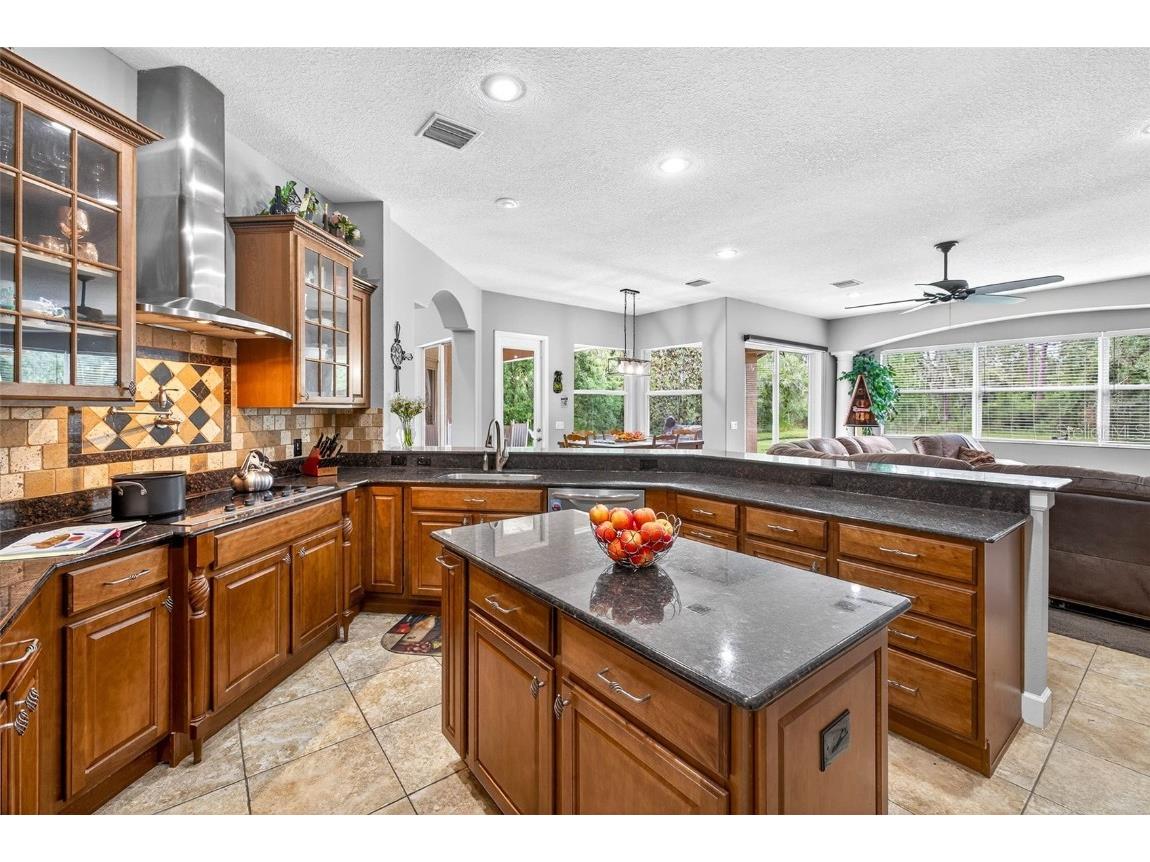 13887 Gavin Road Dover FL 33527 TB8438412 image10