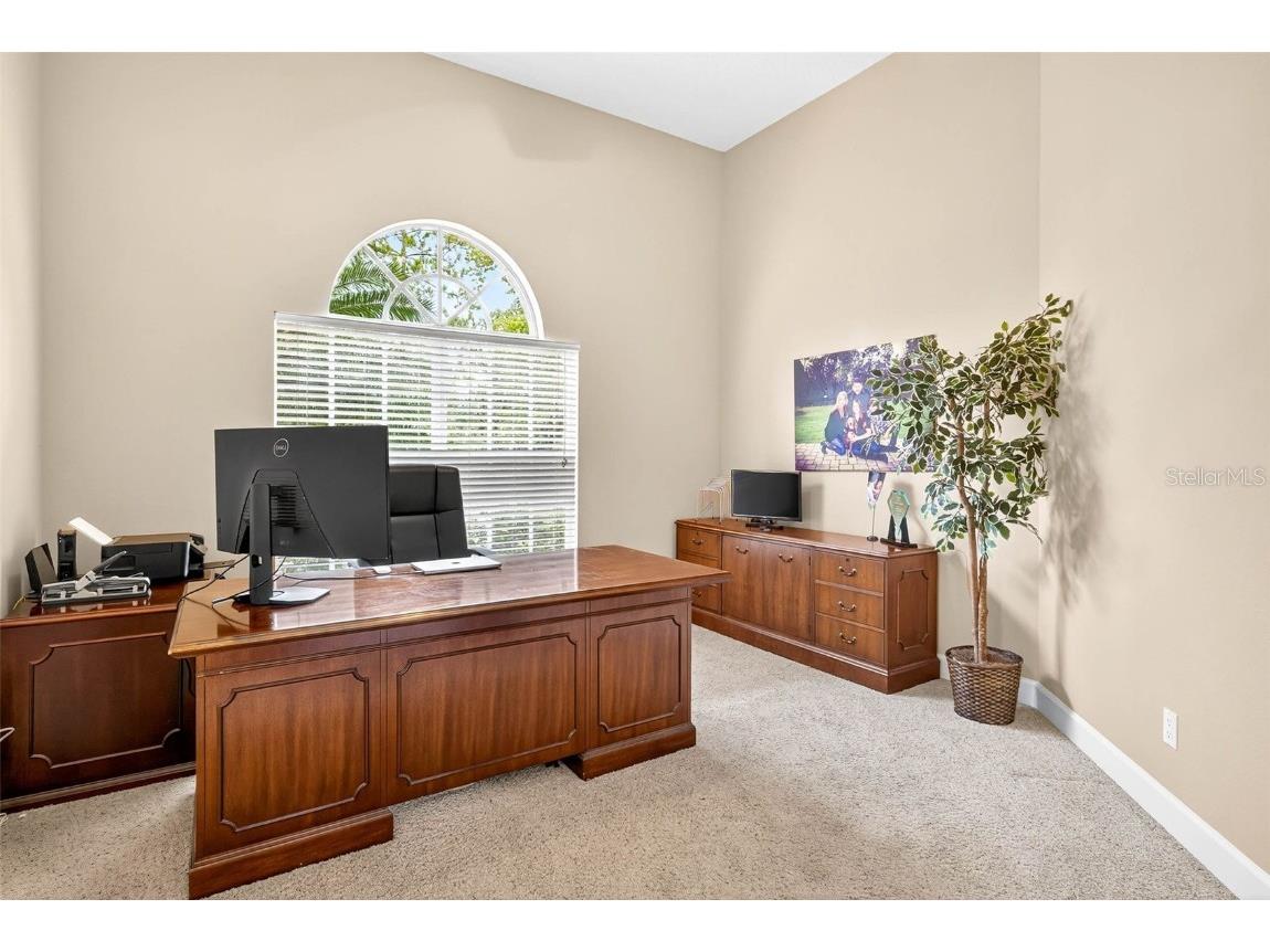 13887 Gavin Road Dover FL 33527 TB8438412 image27