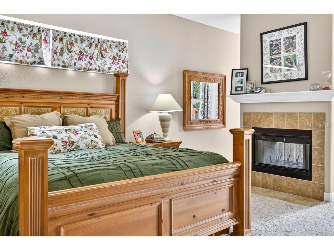 13887 Gavin Road Dover FL 33527 TB8438412 image30