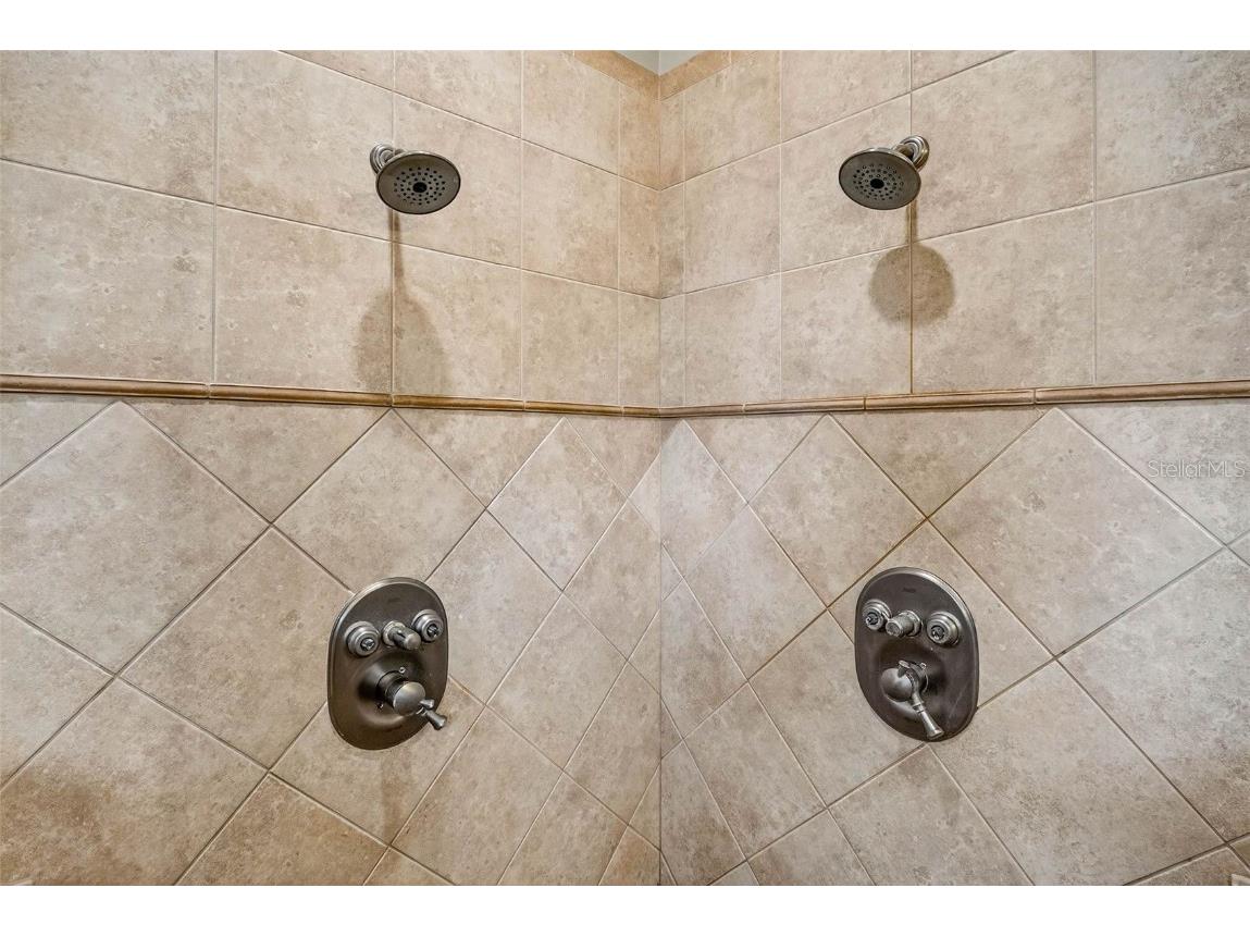 13887 Gavin Road Dover FL 33527 TB8438412 image40