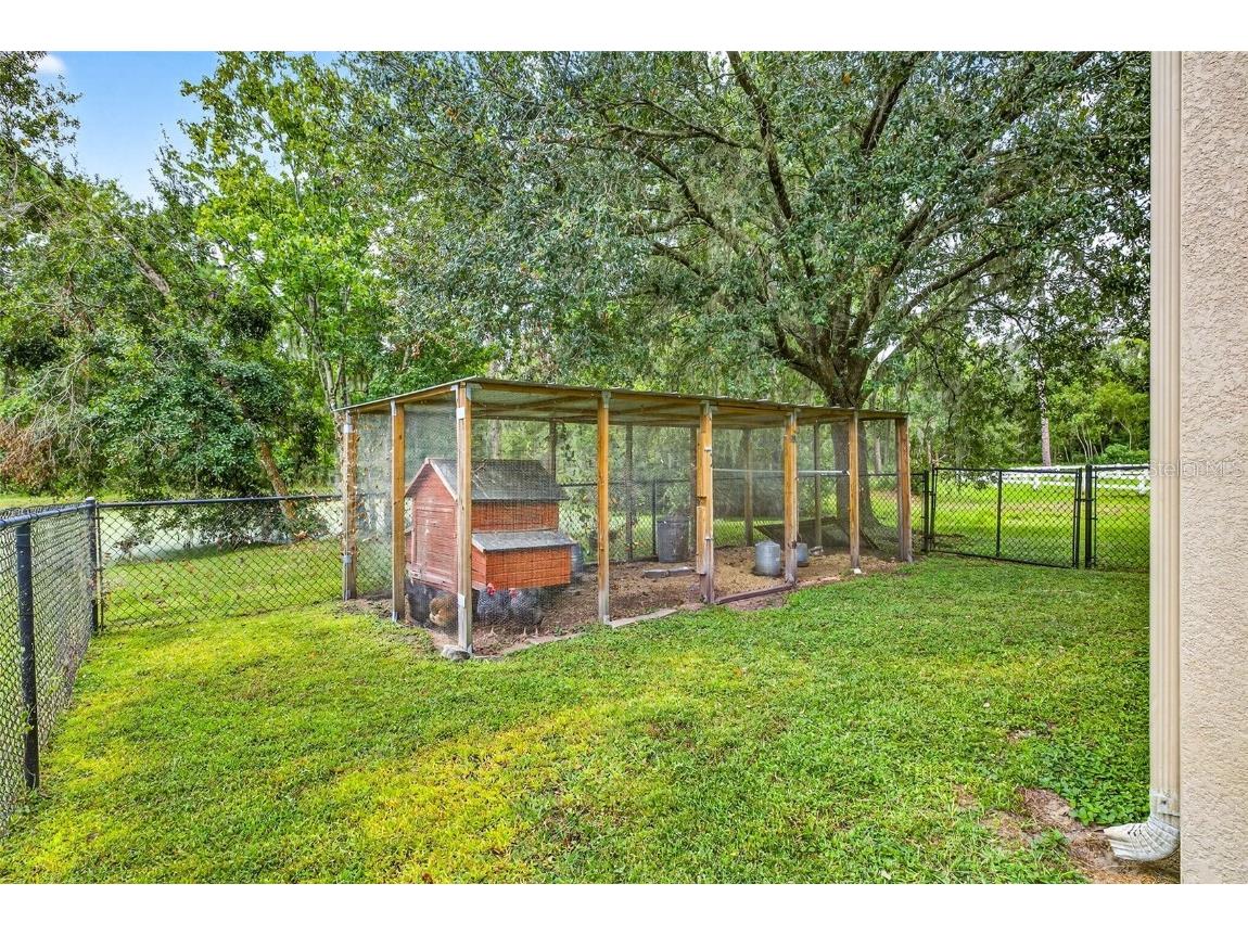 13887 Gavin Road Dover FL 33527 TB8438412 image59