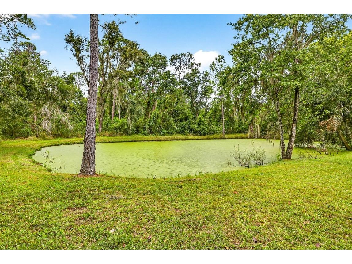 13887 Gavin Road Dover FL 33527 TB8438412 image63