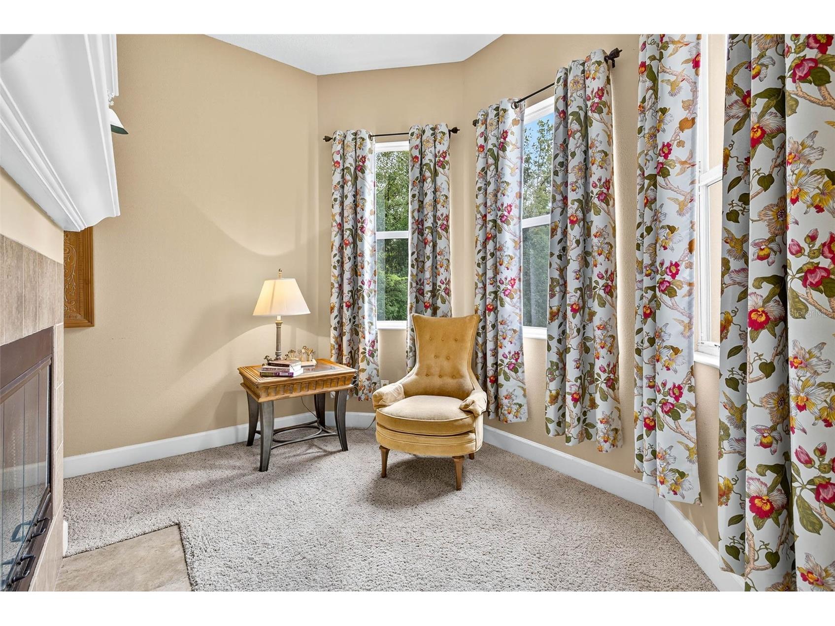 13887 Gavin Road Dover FL 33527 TB8484021 image34