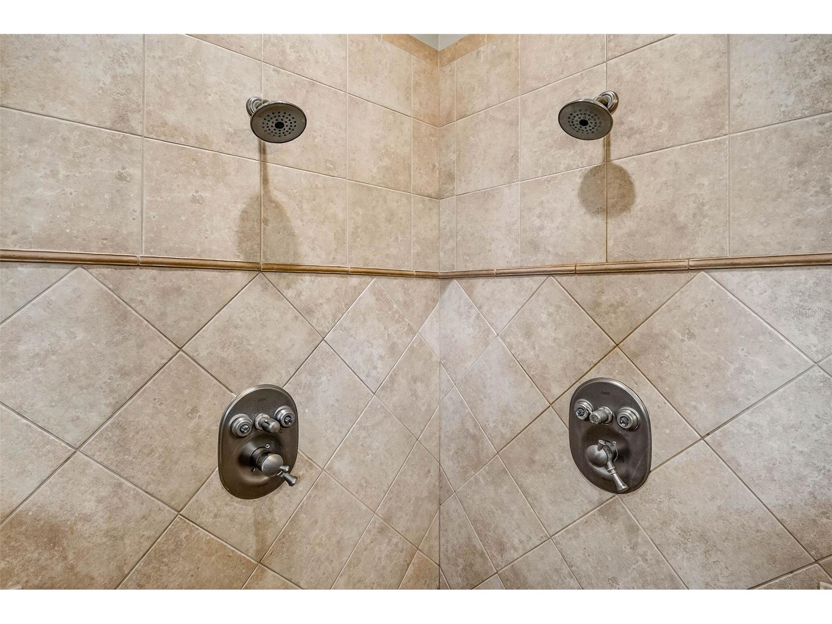 13887 Gavin Road Dover FL 33527 TB8484021 image40