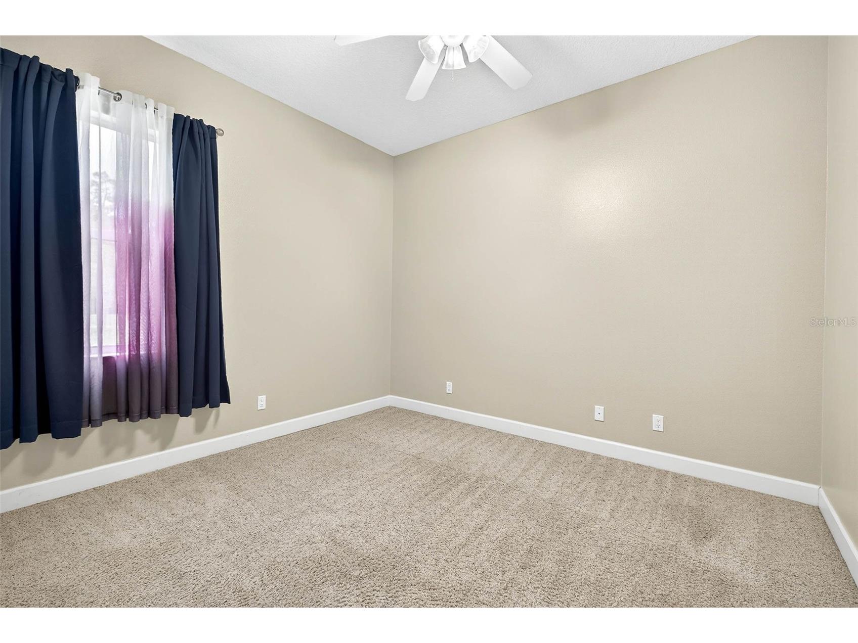 13887 Gavin Road Dover FL 33527 TB8484021 image45