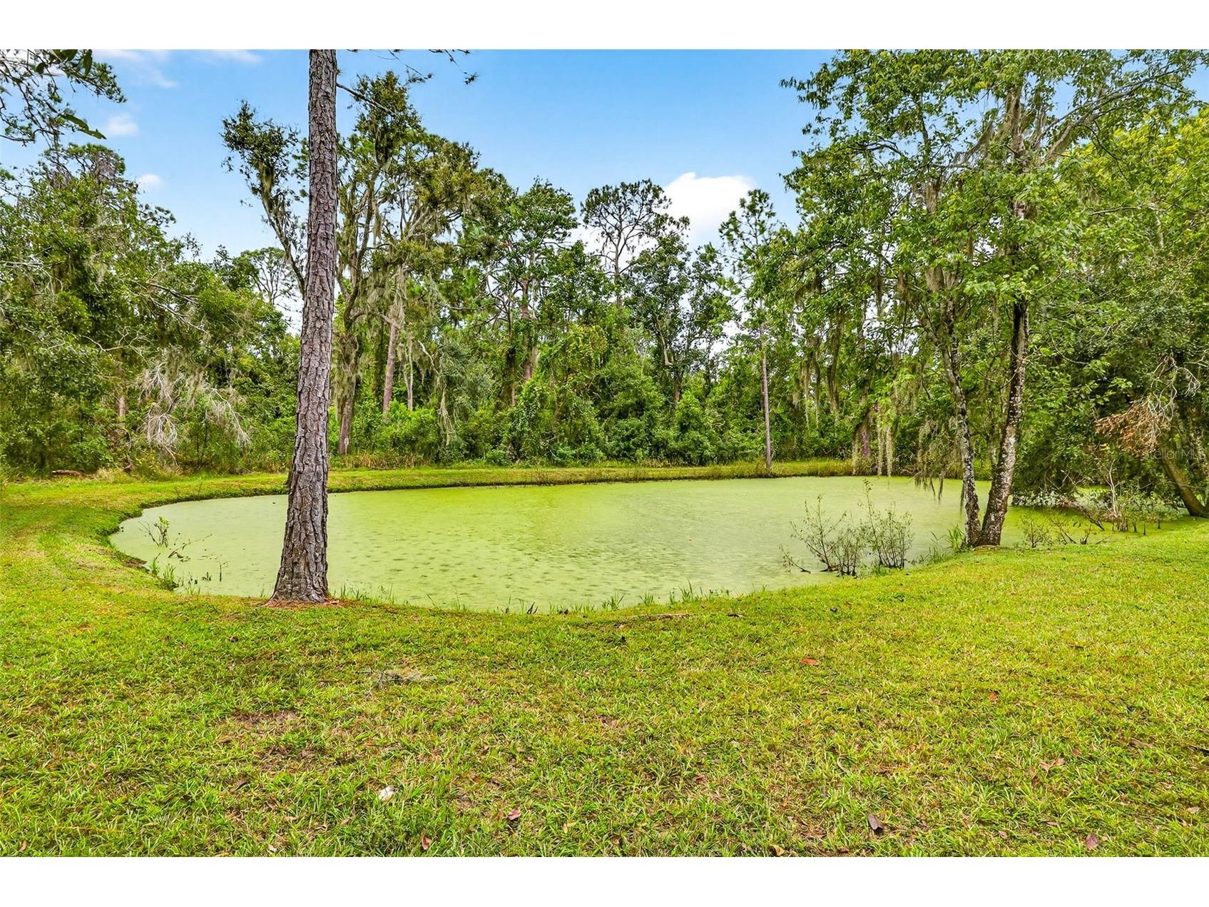 13887 Gavin Road Dover FL 33527 TB8484021 image63