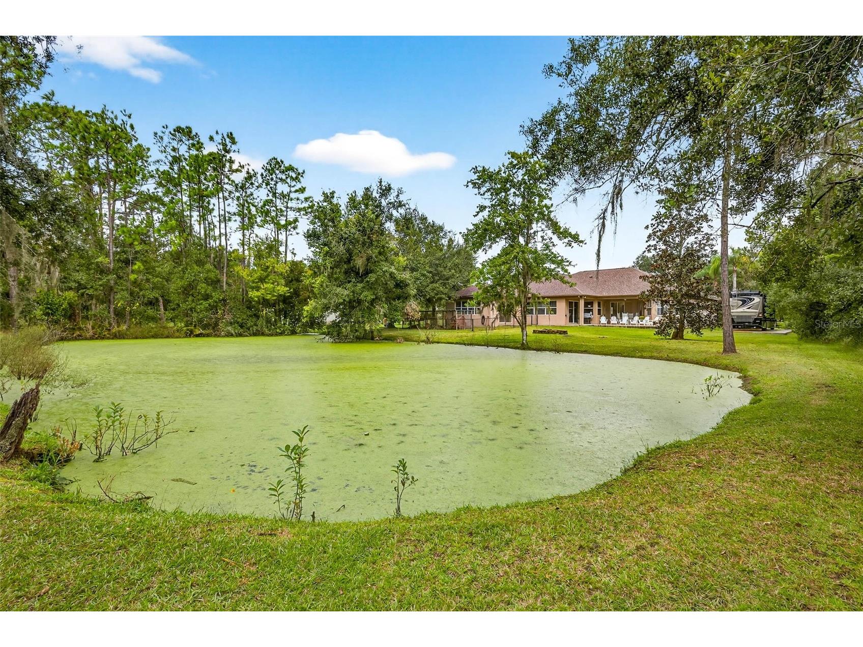 13887 Gavin Road Dover FL 33527 TB8484021 image64