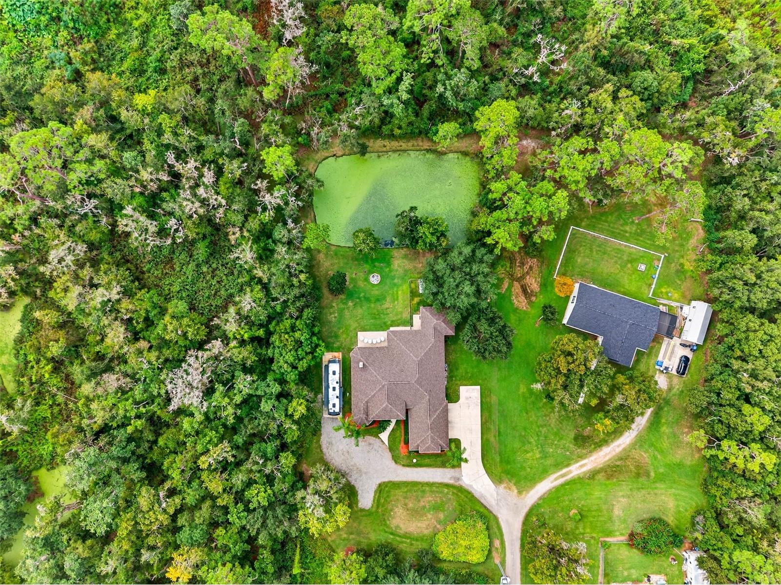 13887 Gavin Road Dover FL 33527 TB8484021 image70