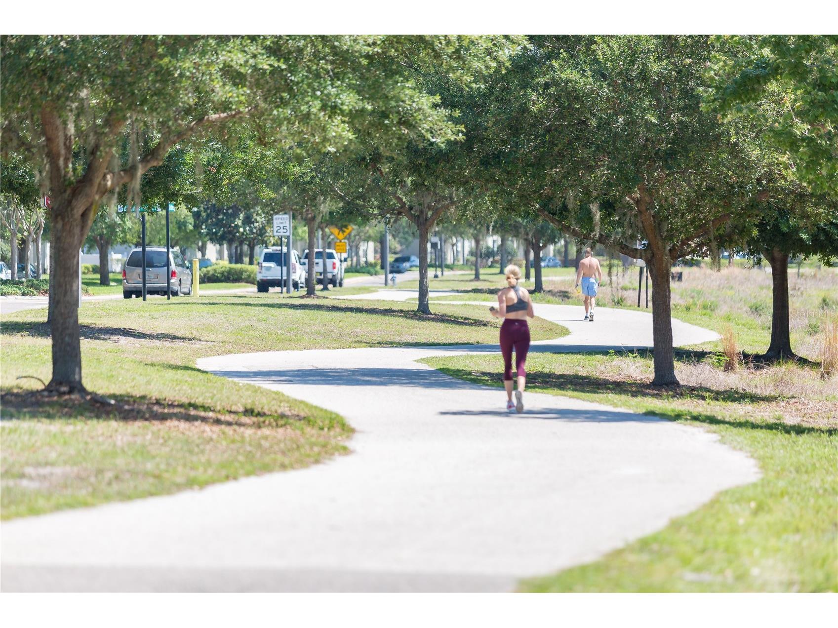 1389 Chatfield Place Orlando FL 32814 - LAKE BALDWIN O6399919 image53