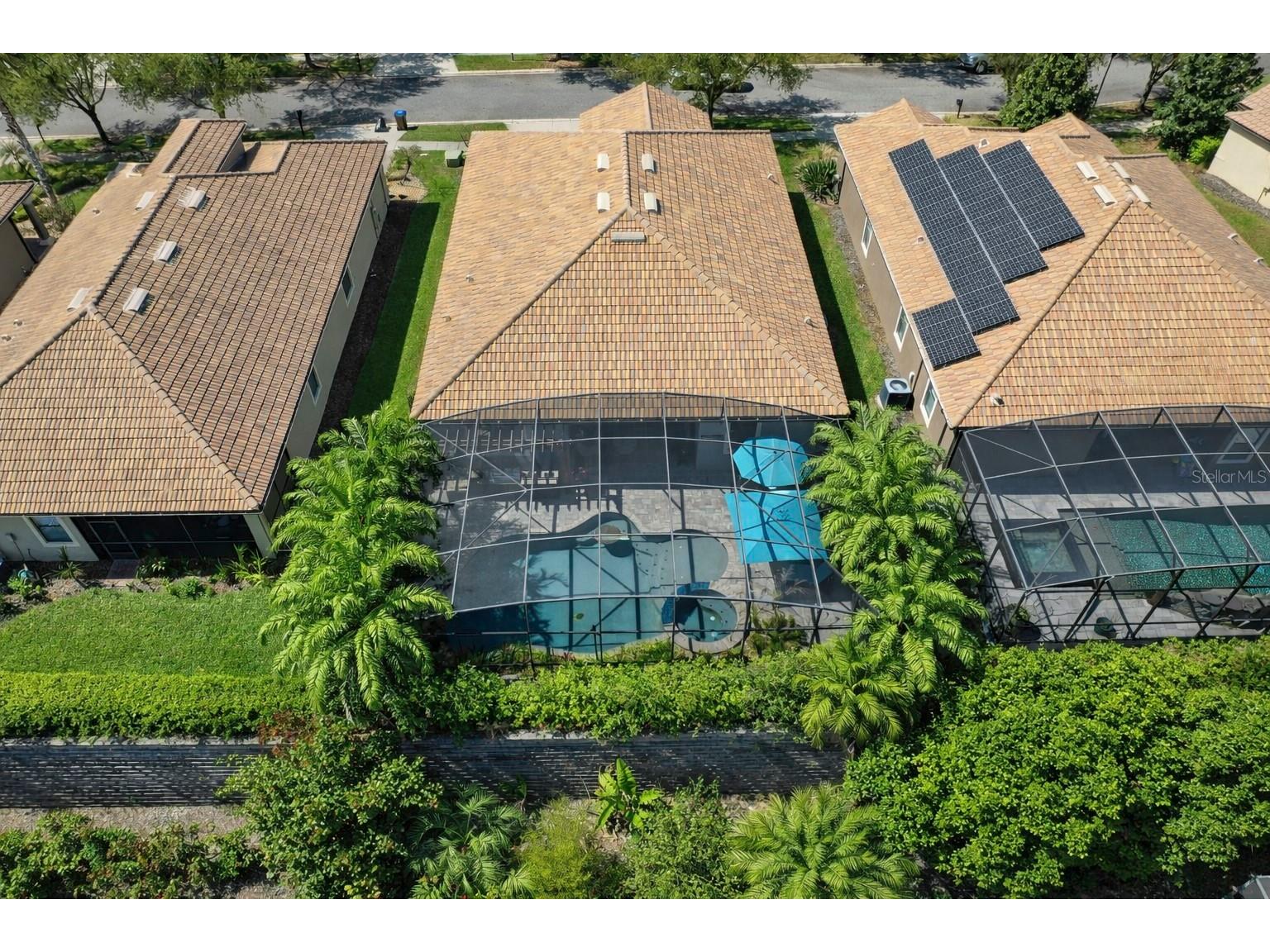 1389 Dolphin Head Street Champions Gate FL 33896 O6388968 image38