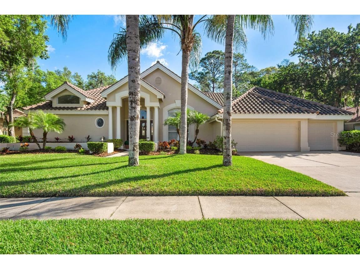 1389 Forestedge Boulevard Oldsmar FL 34677 T3361207 image1