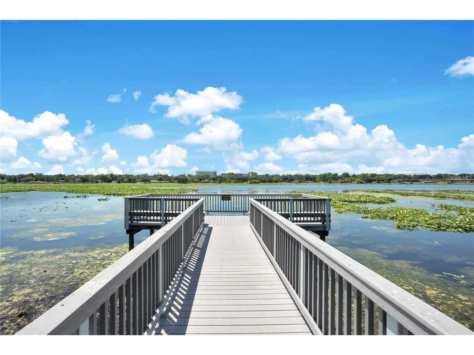 1389 Heritage Landings Drive Lakeland FL 33805 TB8506522 image91