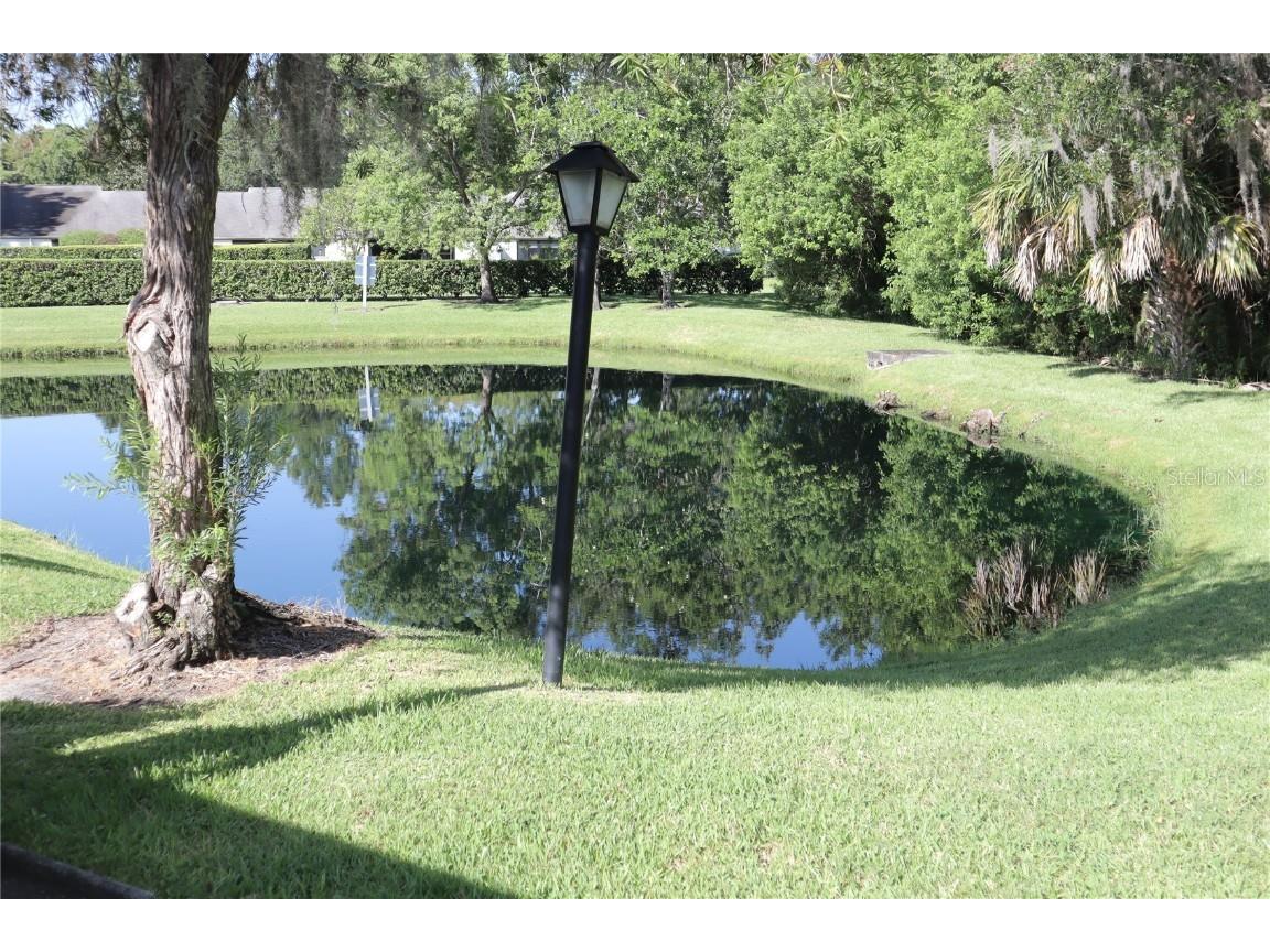 1389 Pine Ridge Circle E #D8 Tarpon Springs FL 34688 TB8418639 image17