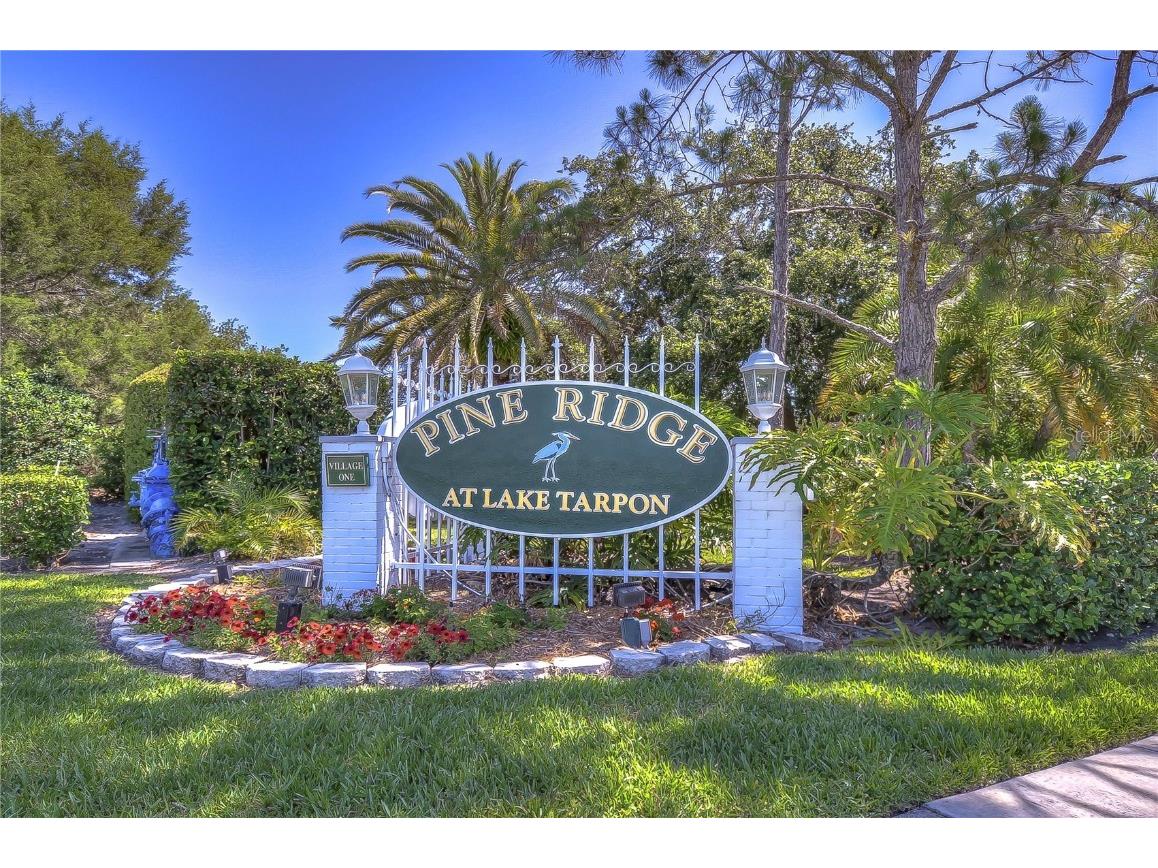 1389 Pine Ridge Circle E #D8 Tarpon Springs FL 34688 TB8418639 image20
