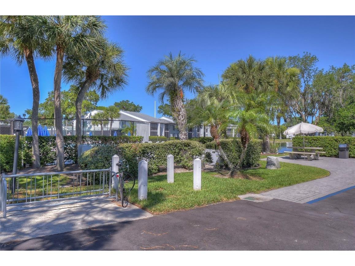 1389 Pine Ridge Circle E #D8 Tarpon Springs FL 34688 TB8418639 image21