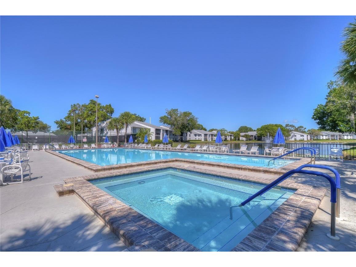 1389 Pine Ridge Circle E #D8 Tarpon Springs FL 34688 TB8418639 image22