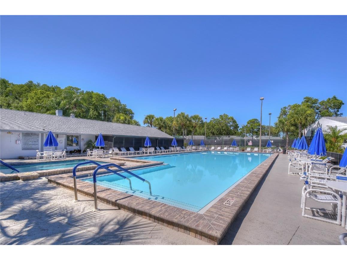 1389 Pine Ridge Circle E #D8 Tarpon Springs FL 34688 TB8418639 image23