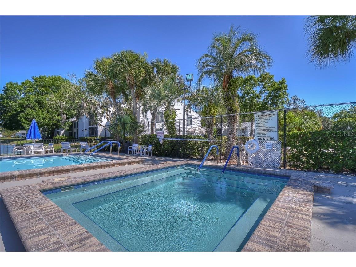 1389 Pine Ridge Circle E #D8 Tarpon Springs FL 34688 TB8418639 image24