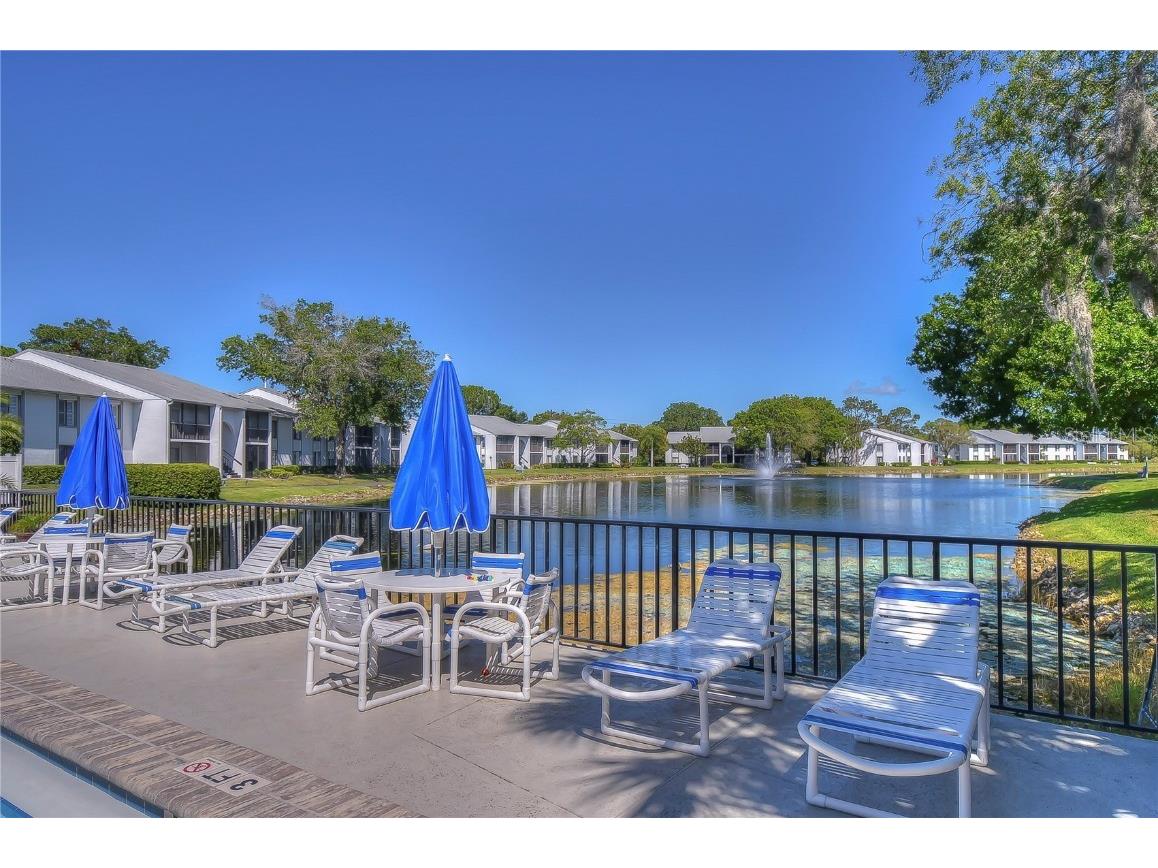 1389 Pine Ridge Circle E #D8 Tarpon Springs FL 34688 TB8418639 image25