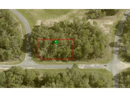 1389 W Pendleton Street Citrus Springs FL 34434 OM672584 image1