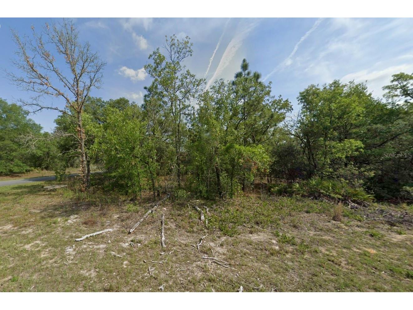 1389 W Pendleton Street Dunnellon FL 34434 O6398788 image1
