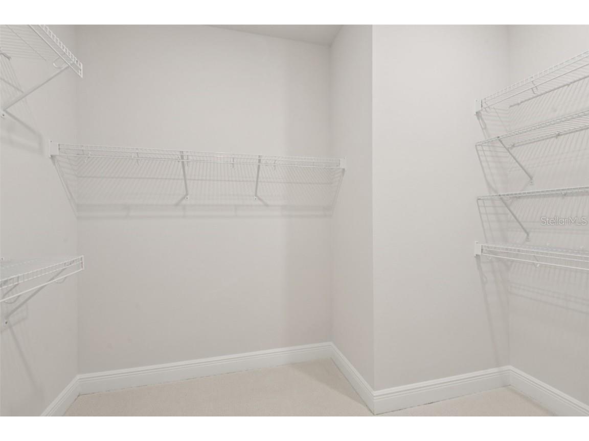 13890 Kingfisher Glen Drive Lithia FL 33547 TB8415702 image21