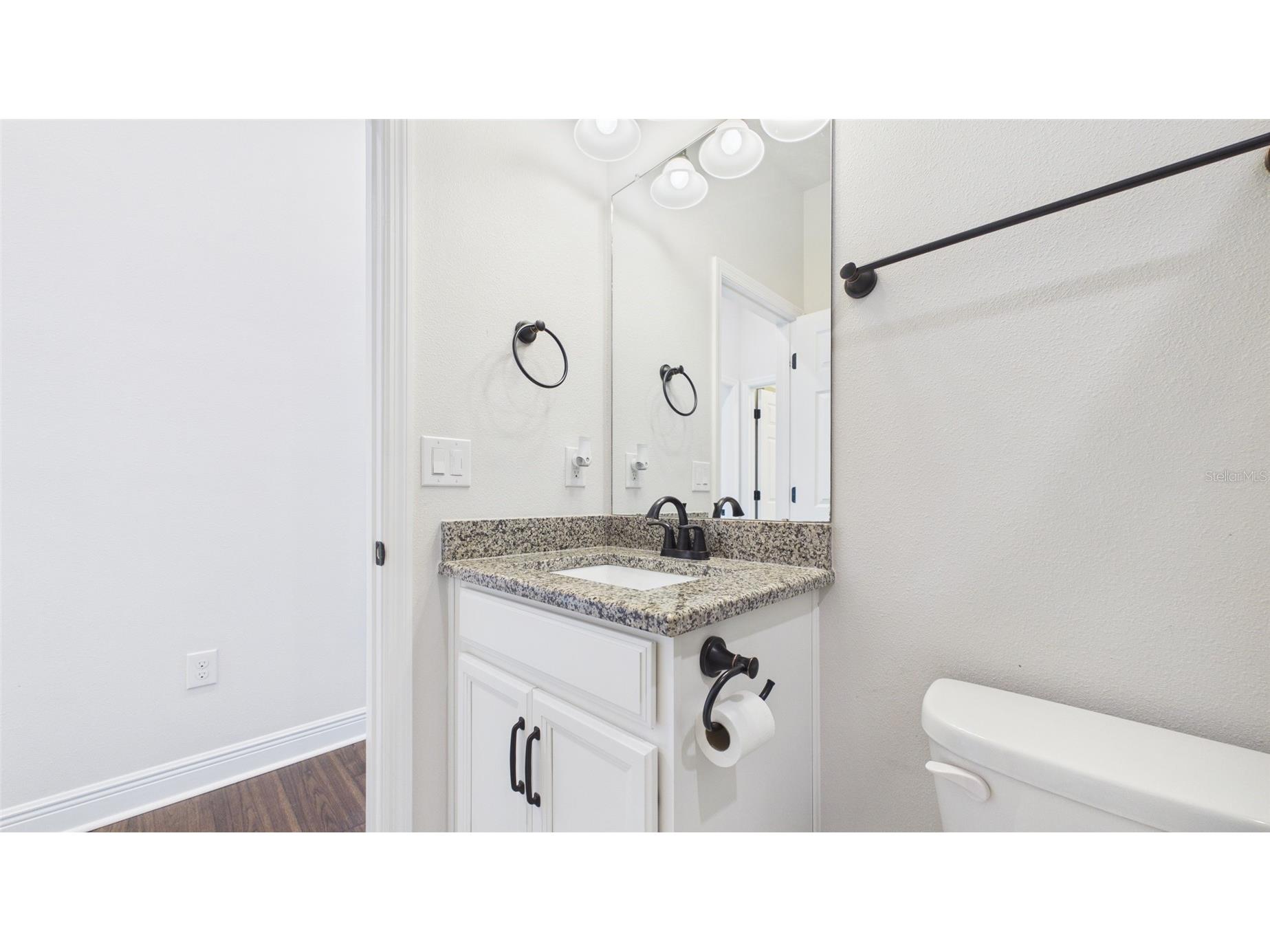 13890 Kingfisher Glen Drive Lithia FL 33547 TB8498961 image45