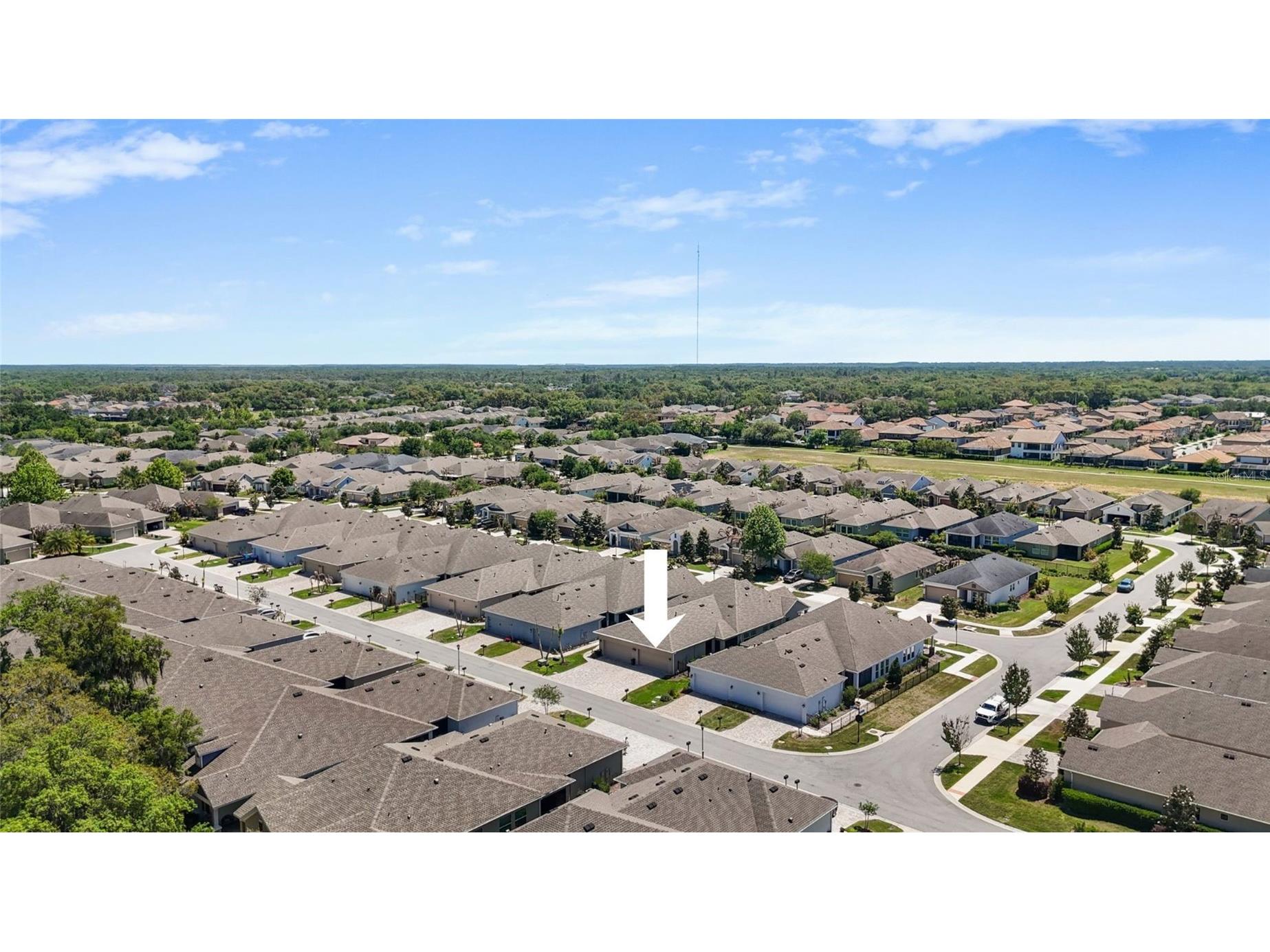 13890 Kingfisher Glen Drive Lithia FL 33547 TB8498961 image52
