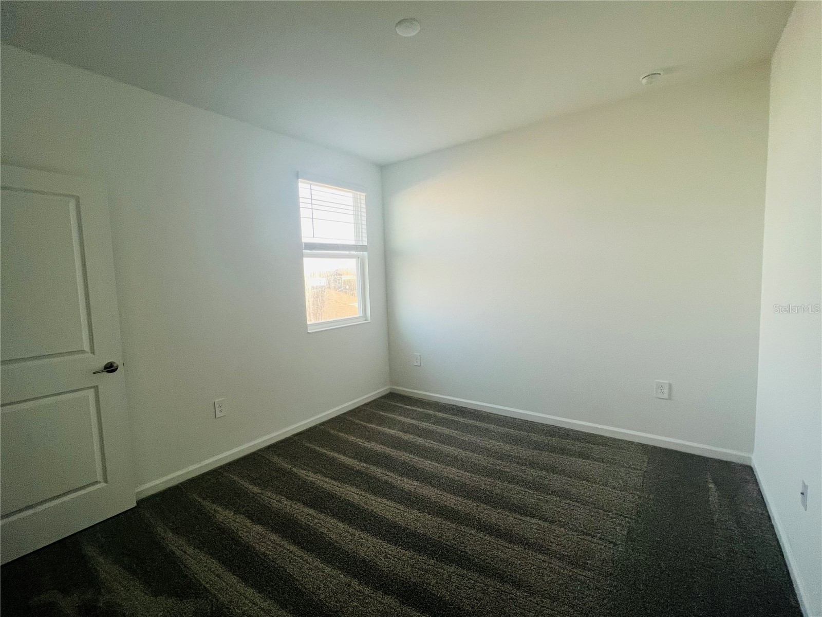 13891 Title Way Winter Garden FL 34787 S5150456 image24