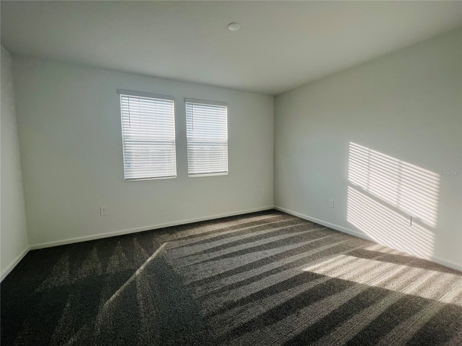 13891 Title Way Winter Garden FL 34787 S5151841 image18