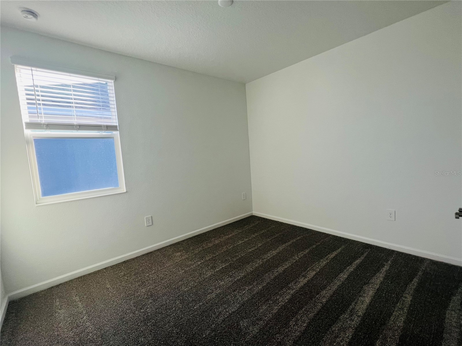 13891 Title Way Winter Garden FL 34787 S5151841 image23