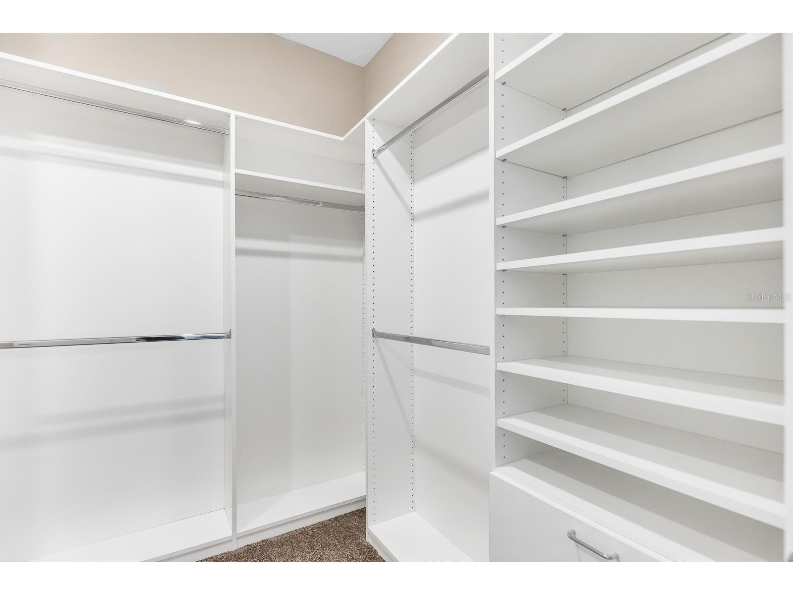 13892 Kingfisher Glen Drive Lithia FL 33547 TB8482479 image21