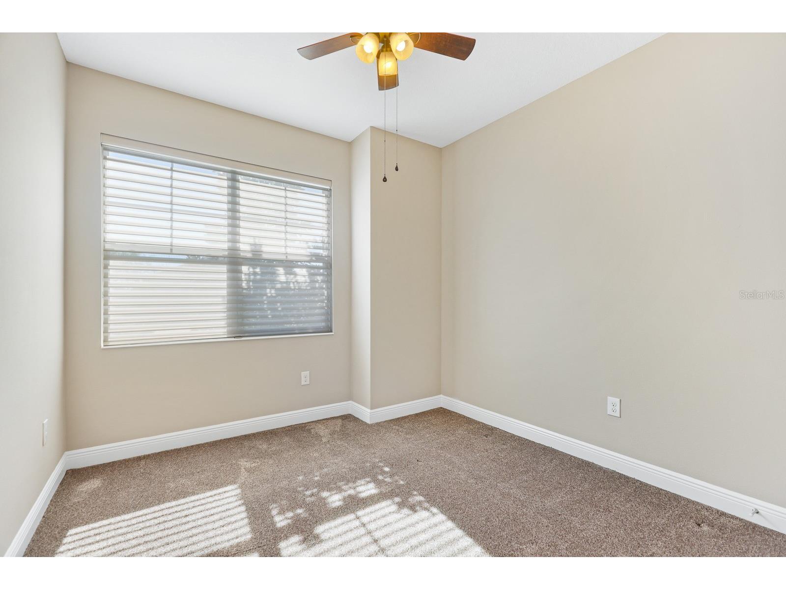 13892 Kingfisher Glen Drive Lithia FL 33547 TB8482479 image23