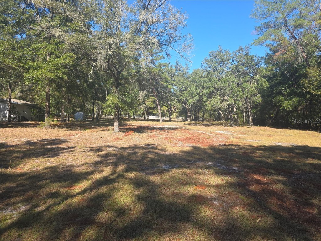 138948 NE 245th Street Road Fort Mc Coy FL 32134 FC314374 image22