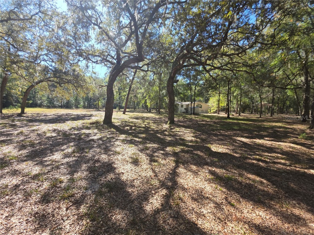 138948 NE 245th Street Road Fort Mc Coy FL 32134 FC314374 image23