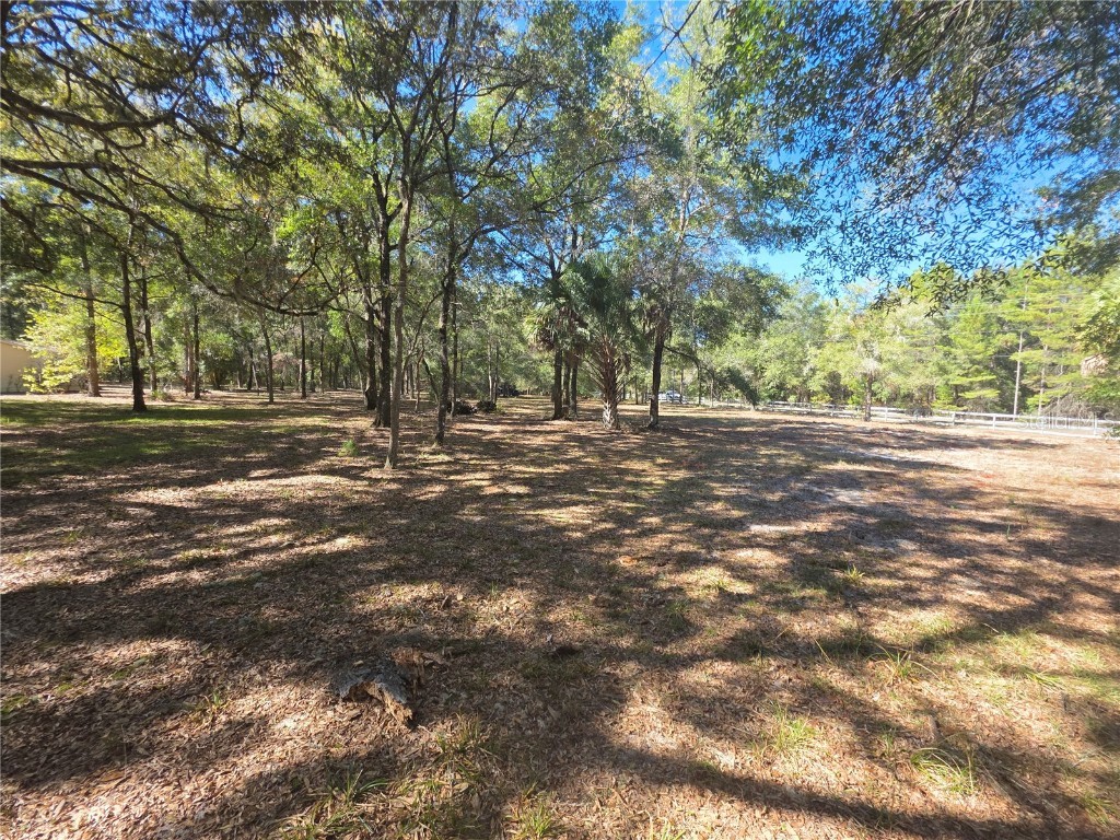 138948 NE 245th Street Road Fort Mc Coy FL 32134 FC314374 image24