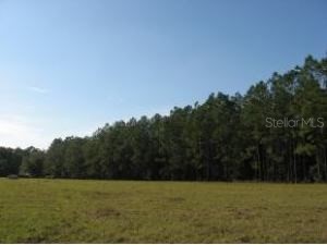 13895 SE 47th St Road Ocklawaha FL 32179 OM657398 image1
