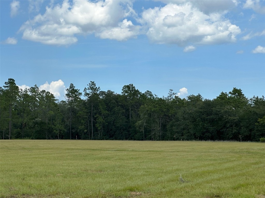 13895 SE 47th St Road Ocklawaha FL 32179 OM662903 image1