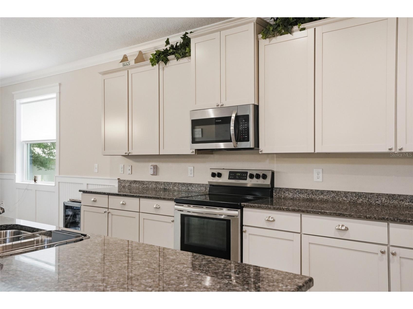 13897 Blythewood Drive Spring Hill FL 34609 W7885687 image23