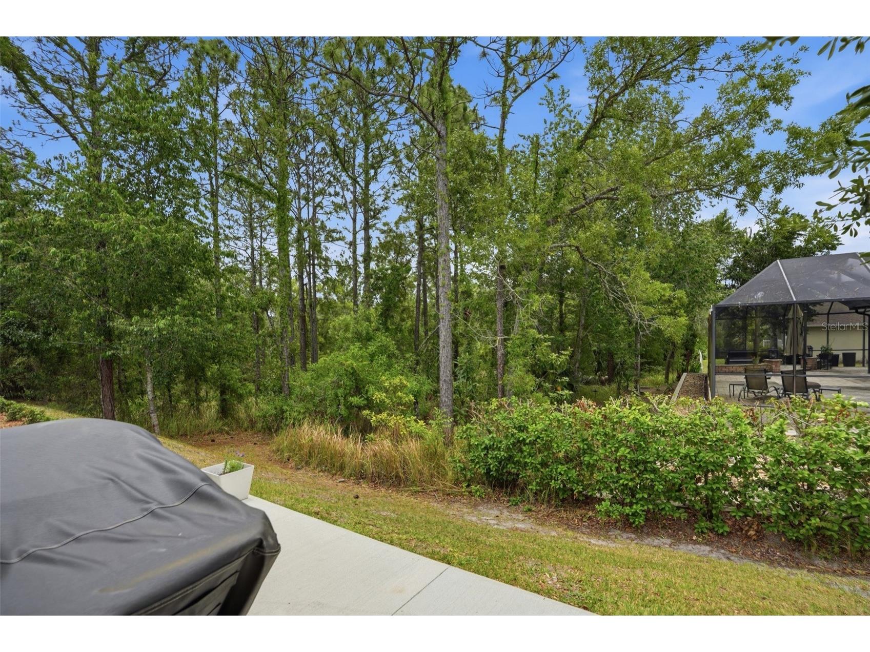 13897 Blythewood Drive Spring Hill FL 34609 W7885687 image52