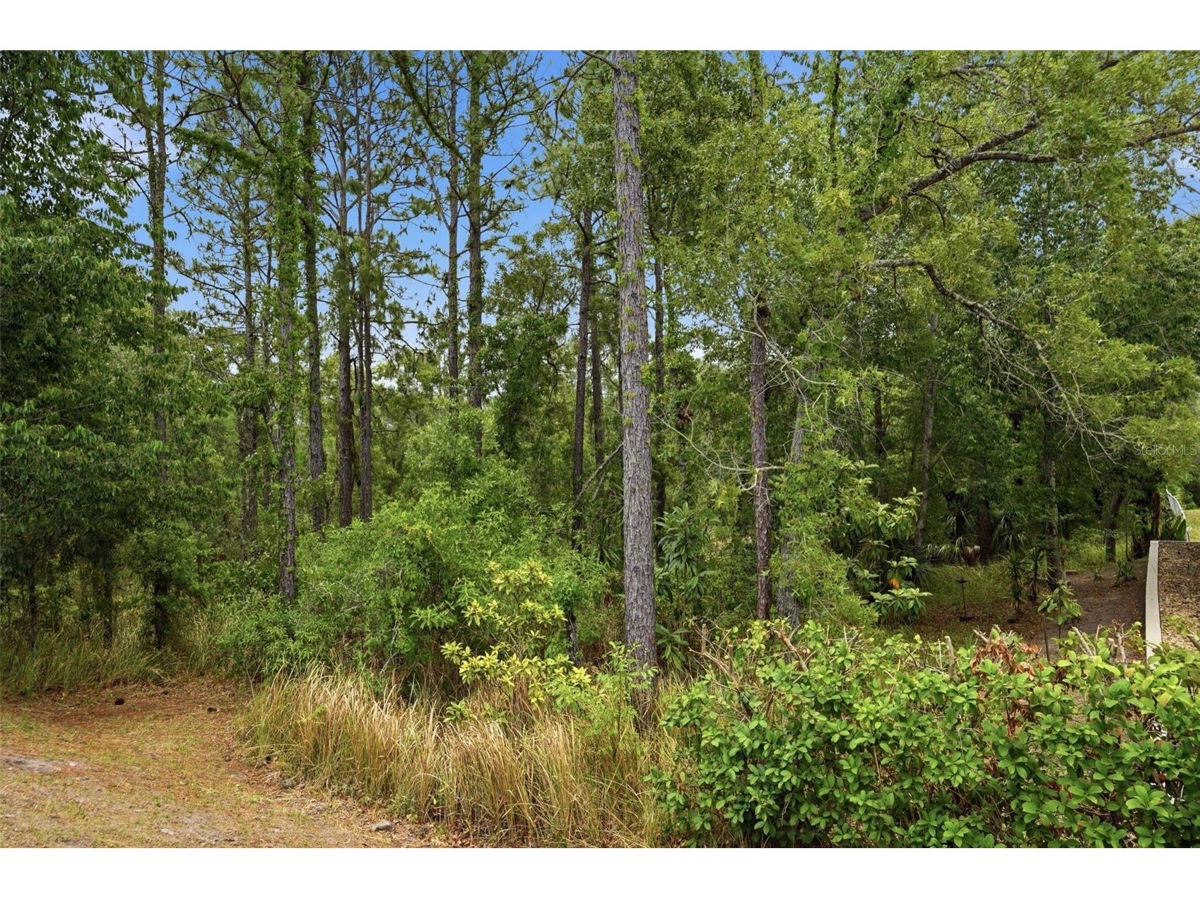 13897 Blythewood Drive Spring Hill FL 34609 W7885687 image53