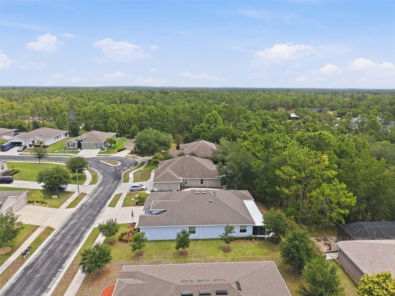 13897 Blythewood Drive Spring Hill FL 34609 W7885687 image64