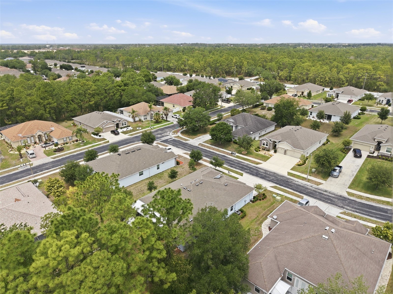 13897 Blythewood Drive Spring Hill FL 34609 W7885687 image69