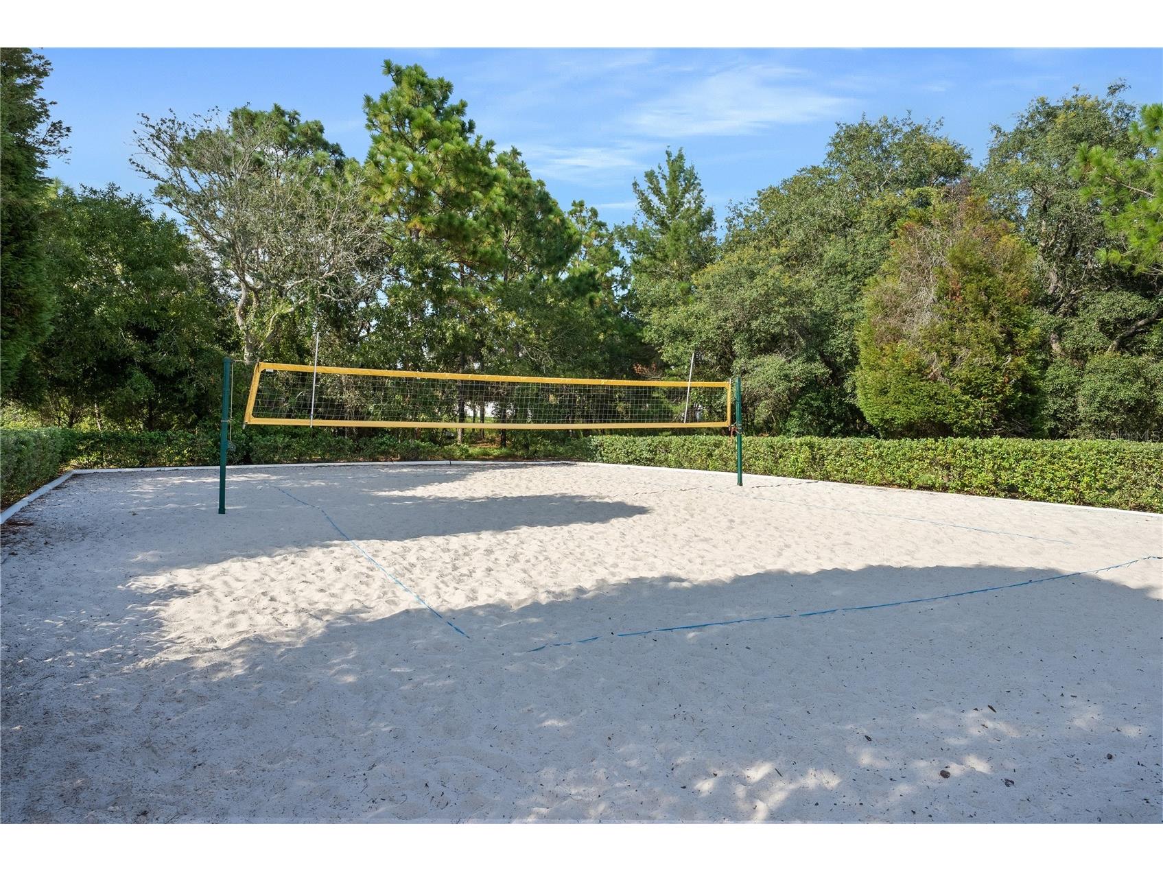 13897 Blythewood Drive Spring Hill FL 34609 W7885687 image83